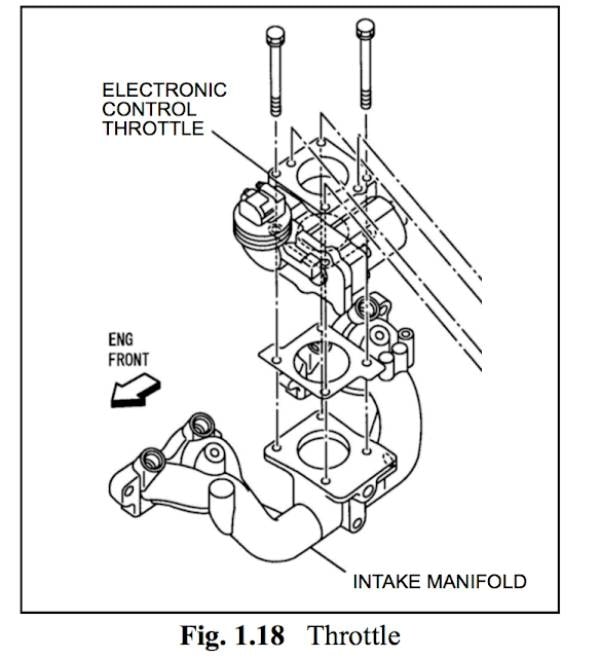 hệ thống điện xe nâng